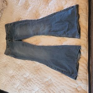 Hollister flare jeans